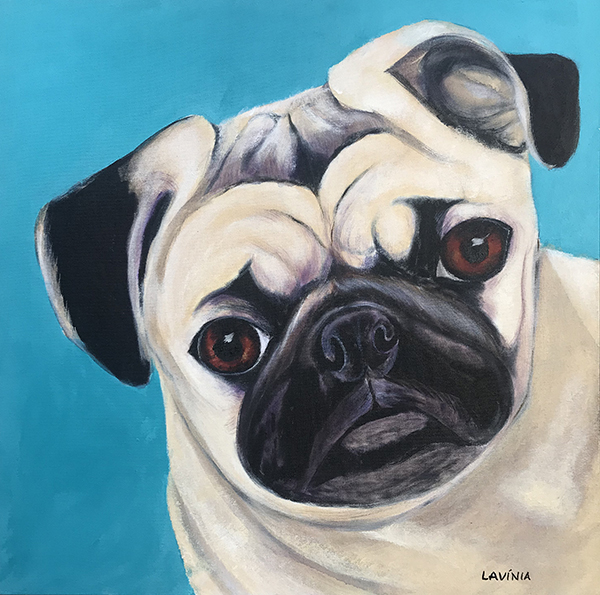 Pug - 50 x 50 - Ast